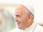 Papa em alta entre os brasileiros