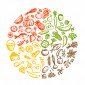 Estudo diz que 76% dos brasileiros leem as informações dos rótulos dos alimentos Healthy food background, sketch for your design